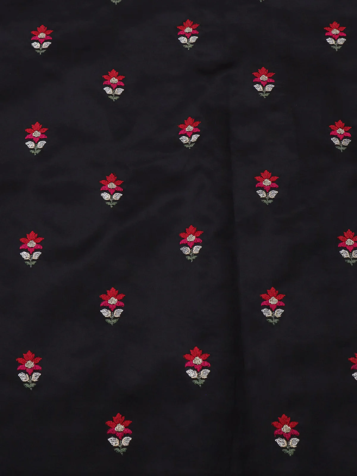 Beige -Black Tissue Organza Silk Saree With Embroidery - Image 4