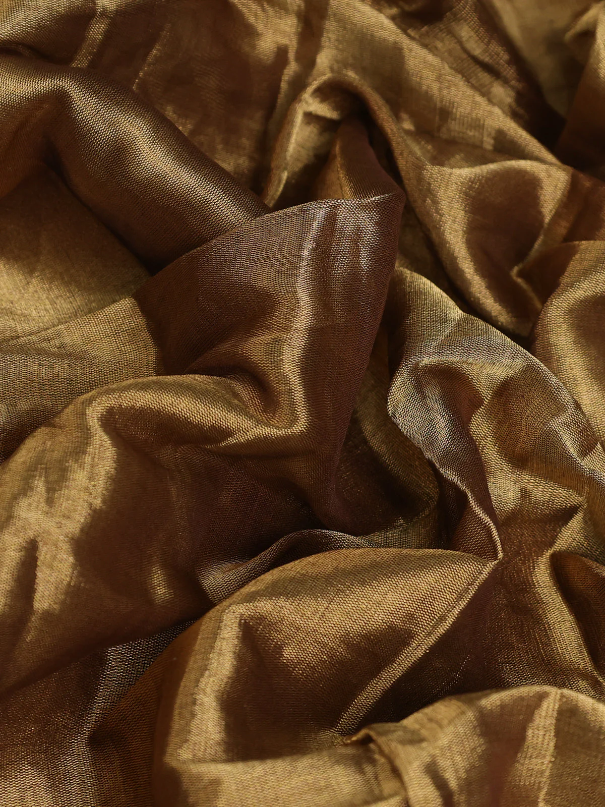 Gold-Silver Tissue Saree With Embroidery Readymade Blouse - Image 9