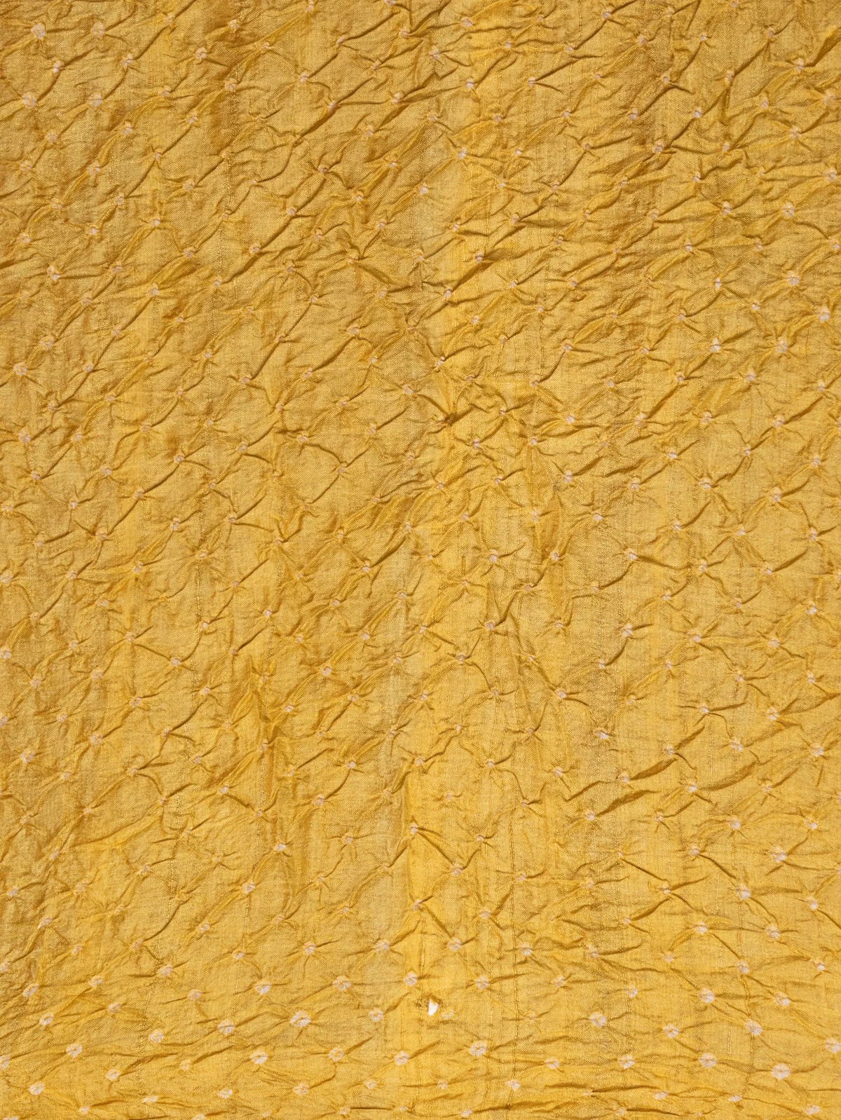 Mustard Shade Tussar Silk Saree With Placement Style Shibori Prints - Image 5