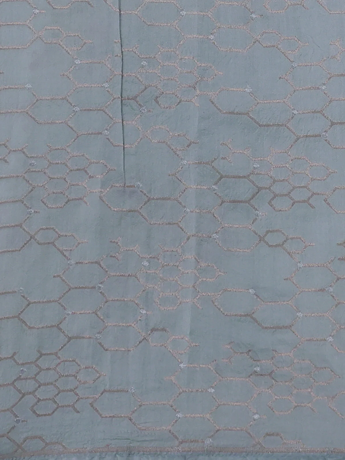 Pastel Blue Organza Hand Painted Silk Saree - Image 3