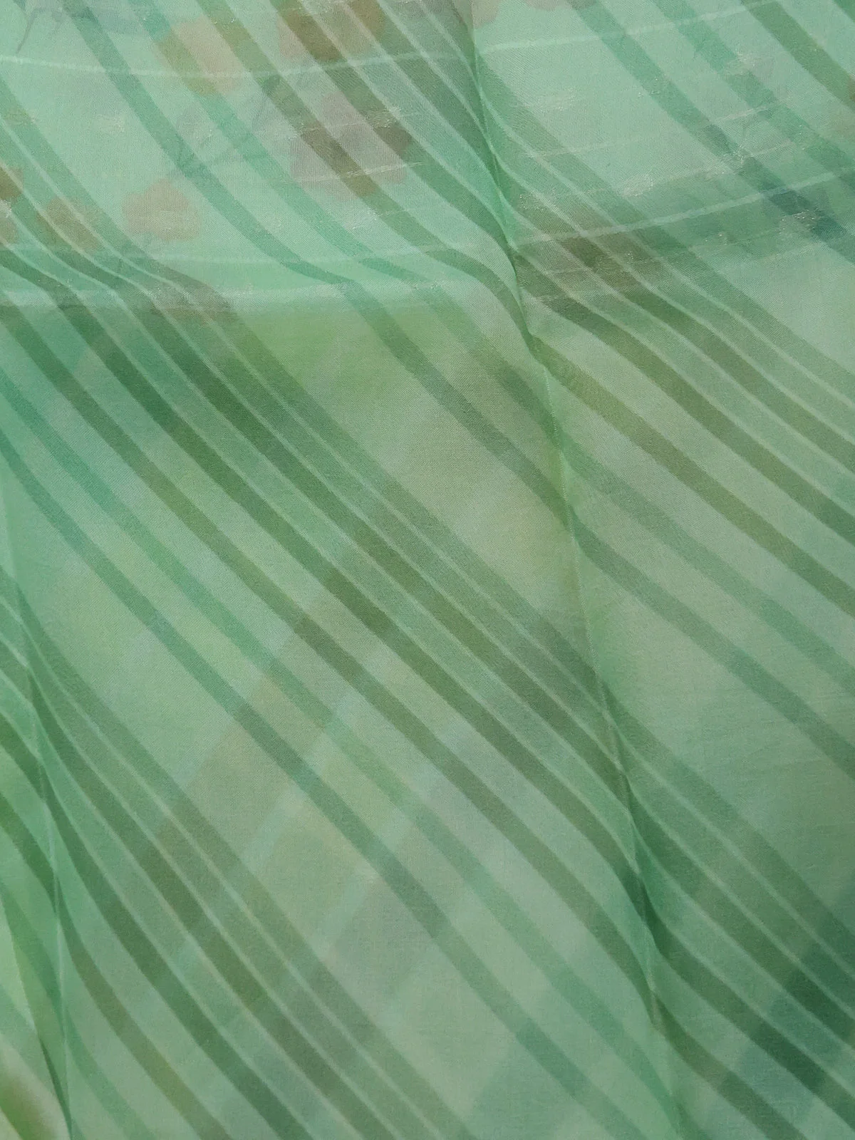 Pastel Green Organza Silk Saree - Image 4