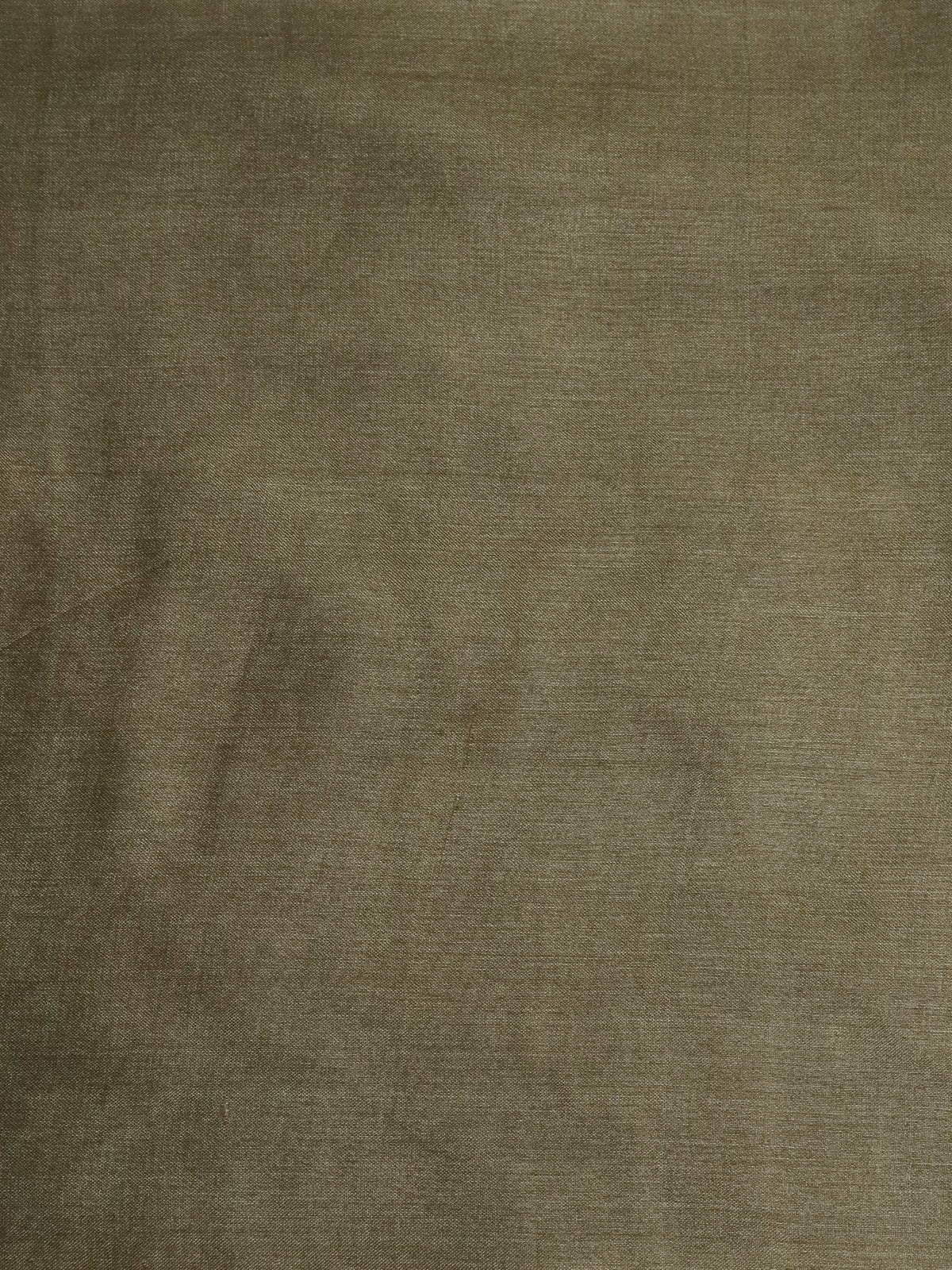 Sap Green-Cream Pure Tussar Silk Saree - Image 4